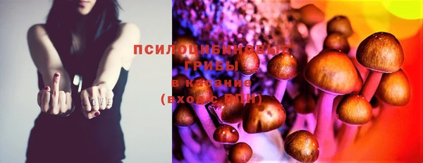дживик Балахна