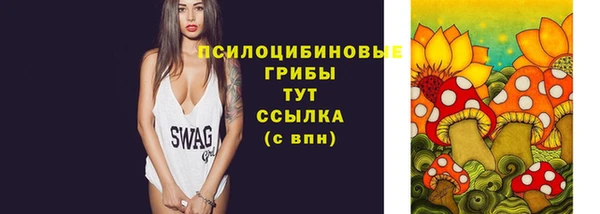 дживик Балахна
