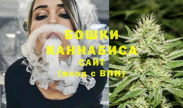 дживик Балахна