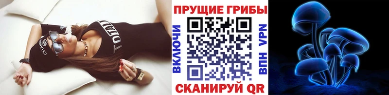 OMG tor  магазин  наркотиков  нарко площадка телеграм  Галлюциногенные грибы мицелий  Удачный 